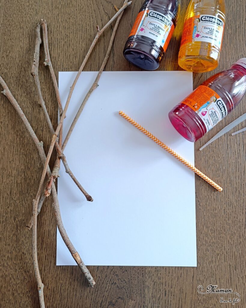 Créer un feu de camp en encre soufflée et éléments de la nature : activité créative, peinture et manuelle enfants - Technique des gouttes d'encre à dessiner soufflée à la paille - Dégradé de couleurs jaune, orange, rouge - Collage de branches de bois - Land art - Thème camping, vacances, été, colonies, camp d'été - Bricolage et décoration sympa et facile - Arts visuels maternelle et élémentaire - Cycles 1 et 2 - Créativité - tutoriel photos - mslf