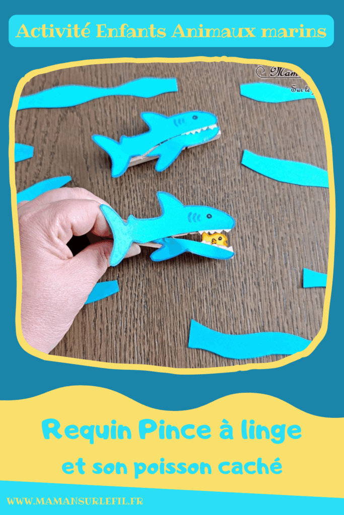 Fabriquer un requin Pince à linge et son petit poisson caché dans sa bouche : activité créative, rigolote et manuelle enfants - Découpage, collage, dessin - Pince à linge pour ouvrir la bouche du requin et faire apparaître un petit poisson - Muscler les petits doigts, motricité fine - Bricolage facile et rigolo - Thème animaux marins, océans, mer, été - Bricolage et décoration sympa et facile - Arts visuels maternelle et élémentaire - Cycles 1 et 2 - Créativité - tutoriel photos et vidéo - mslf