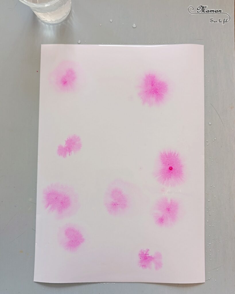 Créer la couverture d'un petit cahier pour la rentrée : activité créative, peinture et manuelle enfants - Customiser un petit carnet - Peinture avec eau, aquarelle, dessin, graphismes - Personnaliser son matériel scolaire, de classe - Bricolage DIY facile et rapide - Thème école, rentrée scolaire, matériel, cahiers - Bricolage et décoration sympa et facile - Arts visuels maternelle et élémentaire - Cycles 1 et 2 - Créativité - tutoriel photos - mslf