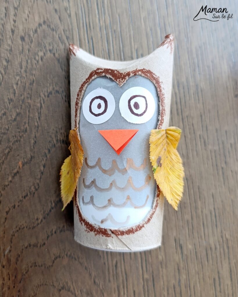 Fabriquer un hibou Lanterne automnal en récup' : activité créative, récup' et manuelle enfants - Recyclage, surcyclage de rouleaux de papier toilette (PQ) en carton - Découpage, dessin, collage - Land art avec feuilles mortes d'automne - Papier calque et bougie chauffe-plat électrique pour le côté lumineux - Couleurs automnales - Bricolage DIY facile et rapide - Thème automne, feuilles, animaux de la forêt, des bois, oiseaux, hiboux et chouettes - Décoration DIY - Bricolage et décoration sympa et facile - Arts visuels maternelle et élémentaire - Cycles 1 et 2 - Créativité - tutoriel photos et vidéo - mslf