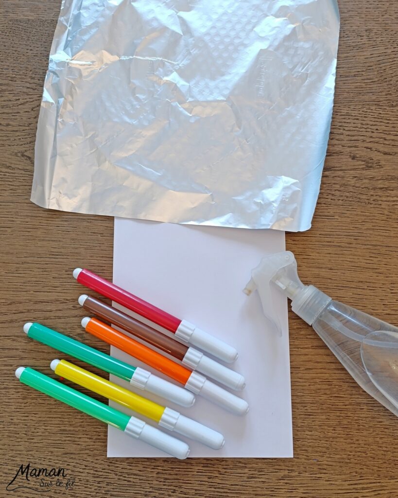 Créer des petits oiseaux d'automne avec la technique des feutres et du papier aluminium : activité créative, peinture et manuelle enfants - Oiseaux ou canards automnaux avec cercles de papier - Couleurs avec feutres sur aluminium et eau - Technique au rendu joli - Cercles, géométrie, découpage, collage - Perforatrice - Land art avec collage d'une branche - Dessin - Couleurs automnales - Bricolage DIY facile et rapide - Thème automne, animaux de la forêt, des bois, oiseaux, nature - Décoration DIY - Bricolage et décoration sympa et facile - Arts visuels maternelle et élémentaire - Cycles 1 et 2 - Créativité - tutoriel photos et vidéo - mslf