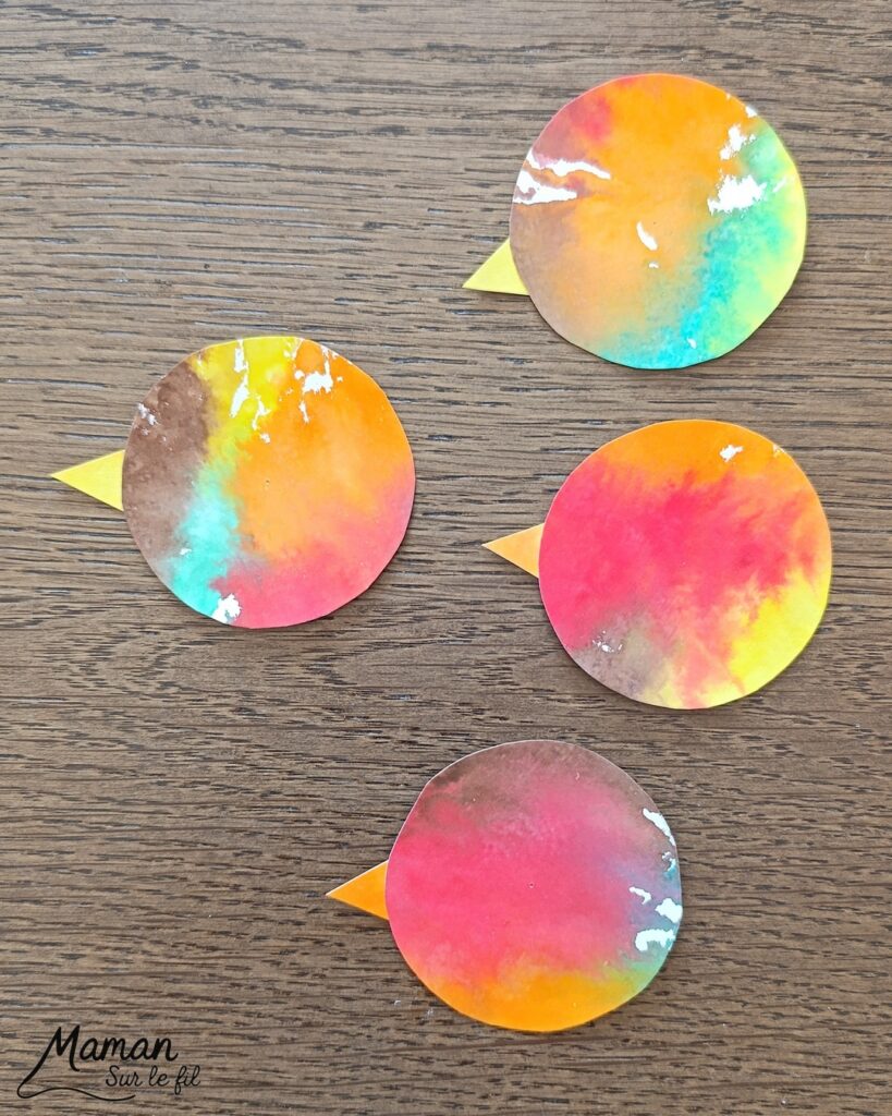 Créer des petits oiseaux d'automne avec la technique des feutres et du papier aluminium : activité créative, peinture et manuelle enfants - Oiseaux ou canards automnaux avec cercles de papier - Couleurs avec feutres sur aluminium et eau - Technique au rendu joli - Cercles, géométrie, découpage, collage - Perforatrice - Land art avec collage d'une branche - Dessin - Couleurs automnales - Bricolage DIY facile et rapide - Thème automne, animaux de la forêt, des bois, oiseaux, nature - Décoration DIY - Bricolage et décoration sympa et facile - Arts visuels maternelle et élémentaire - Cycles 1 et 2 - Créativité - tutoriel photos et vidéo - mslf