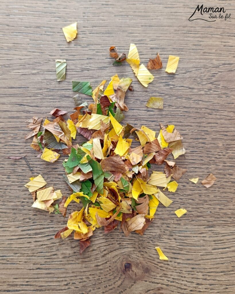 Créer des petits oiseaux d'automne sous la pluie : activité créative, nature et manuelle enfants - Oiseaux ou canards automnaux en cercles de papier - Découpage, collage, géométrie, utilisation du compas, pliage - Land art avec collage de feuilles mortes - Abrités sous parapluie fabriqué avec une feuille d'automnale - Dessine et graphismes - Couleurs automnales - Bricolage DIY facile et rapide - Thème automne, animaux de la forêt, des bois, de la ferme, oiseaux, canards, pluie, météo, nature - Décoration DIY - Bricolage et décoration sympa et facile - Arts visuels maternelle et élémentaire - Cycles 1 et 2 - Créativité - tutoriel photos - mslf