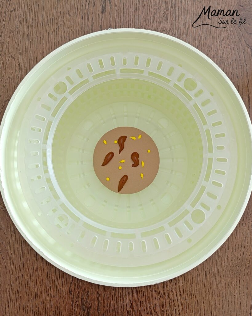 Peindre des escargots d'automne à l'essoreuse à salade : activité créative, peinture, récup' et manuelle enfants - Technique de peinture rigolote et recyclage, surcyclage de cuillères en bois - Coquilles peintes à l'essoreuse - Corps, tête et queue avec cuillères - Antennes et yeux avec fils chenille et perles - Géométrie, utilisation du compas, découpage - Couleurs automnales - Bricolage DIY facile et rapide - Thème automne, animaux de la forêt, des bois, insectes et autres petites bêtes - Décoration DIY - Bricolage et décoration sympa et facile - Arts visuels maternelle et élémentaire - Cycles 1 et 2 - Créativité - tutoriel photos - mslf