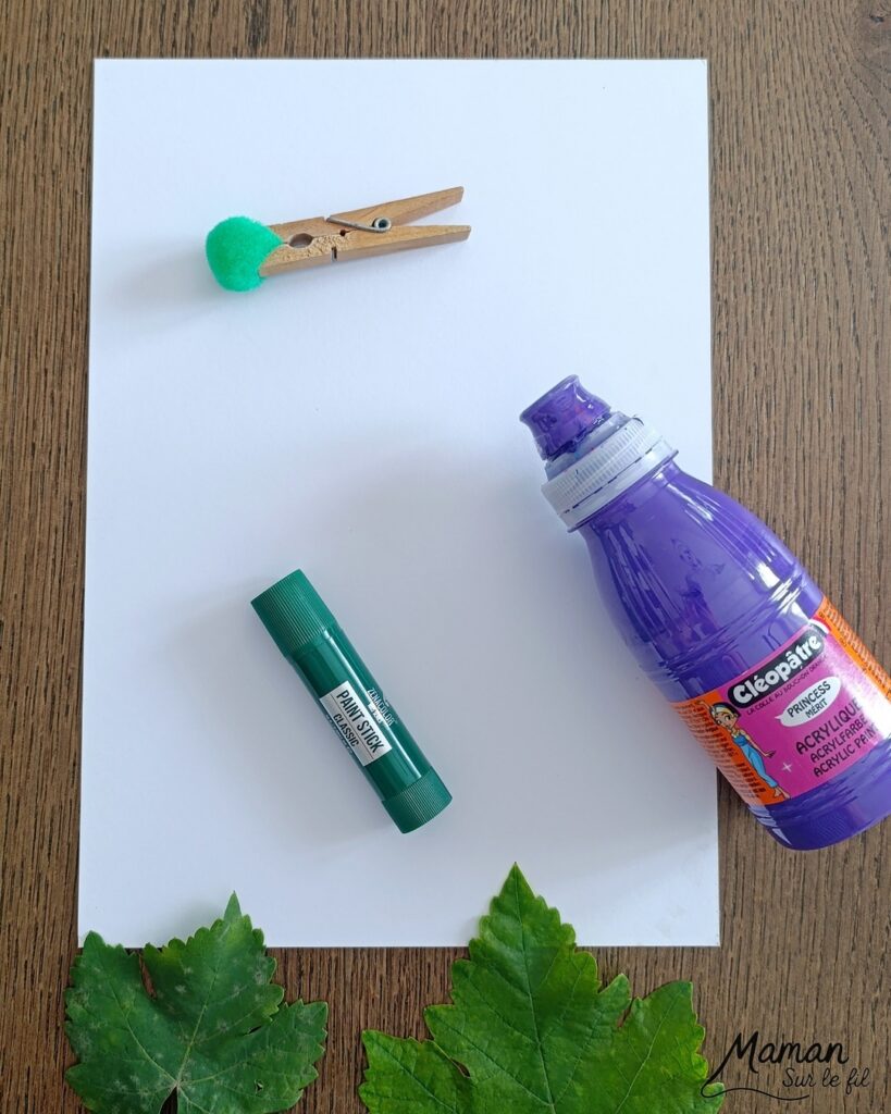 Peindre une grappe de raisin avec des empreintes de feuilles et des pompons : activité créative, peinture et manuelle enfants - Land art, art nature avec empreintes de feuilles de vigne - Dessin - Grains de raisin peints avec un pompon et une pince à linge - Dessin des reflets des grains et graphismes - Bricolage DIY facile et rapide - Thème automne, raisins, fruits et légumes, potager - Décoration DIY - Bricolage et décoration sympa et facile - Arts visuels maternelle et élémentaire - Cycles 1 et 2 - Créativité - tutoriel photos et vidéo - mslf