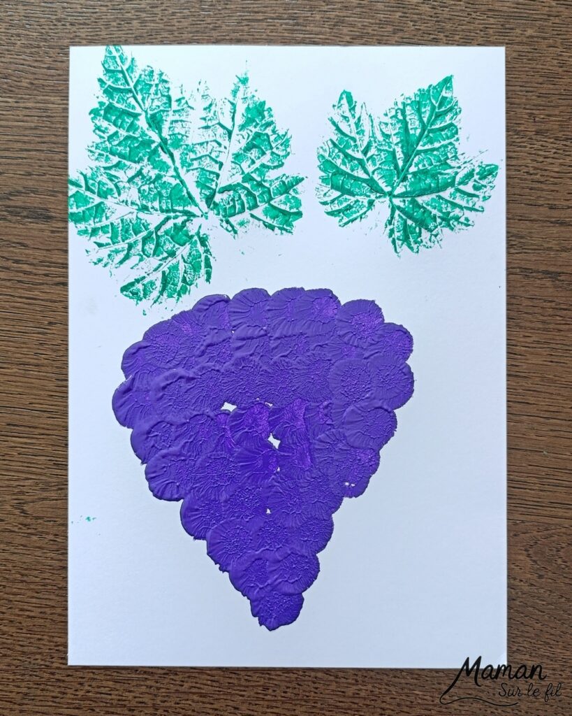 Peindre une grappe de raisin avec des empreintes de feuilles et des pompons : activité créative, peinture et manuelle enfants - Land art, art nature avec empreintes de feuilles de vigne - Dessin - Grains de raisin peints avec un pompon et une pince à linge - Dessin des reflets des grains et graphismes - Bricolage DIY facile et rapide - Thème automne, raisins, fruits et légumes, potager - Décoration DIY - Bricolage et décoration sympa et facile - Arts visuels maternelle et élémentaire - Cycles 1 et 2 - Créativité - tutoriel photos et vidéo - mslf