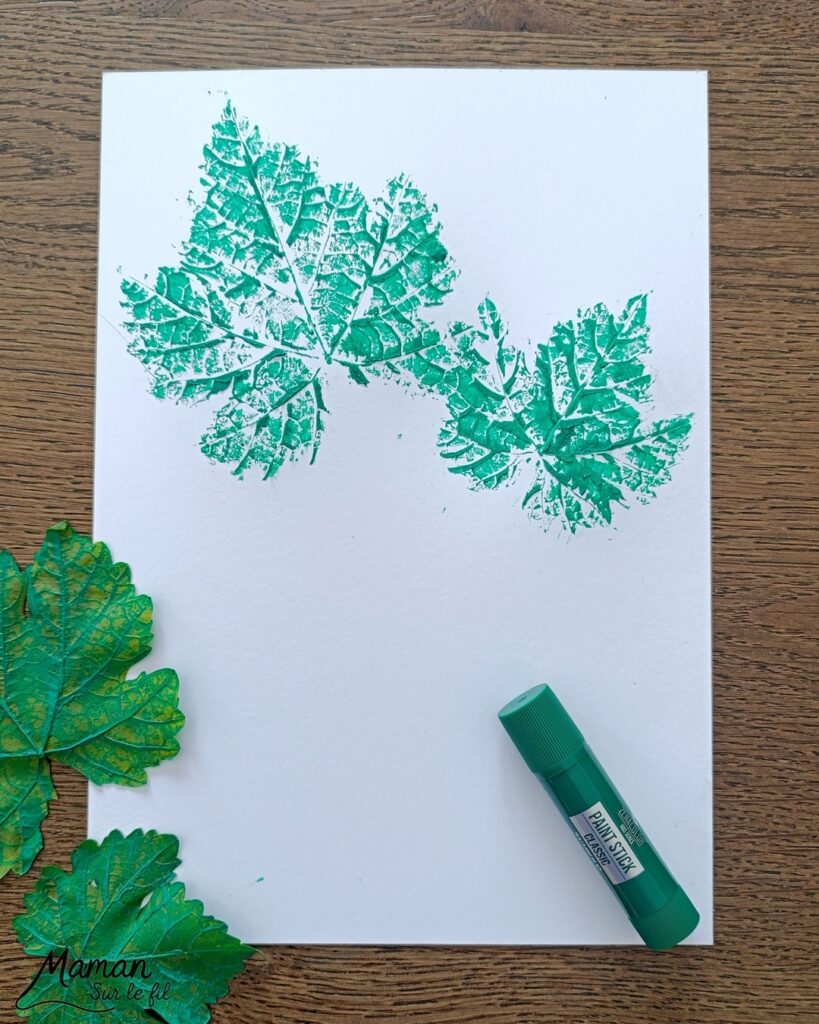 Peindre une grappe de raisin avec des empreintes de feuilles et des pompons : activité créative, peinture et manuelle enfants - Land art, art nature avec empreintes de feuilles de vigne - Dessin - Grains de raisin peints avec un pompon et une pince à linge - Dessin des reflets des grains et graphismes - Bricolage DIY facile et rapide - Thème automne, raisins, fruits et légumes, potager - Décoration DIY - Bricolage et décoration sympa et facile - Arts visuels maternelle et élémentaire - Cycles 1 et 2 - Créativité - tutoriel photos et vidéo - mslf