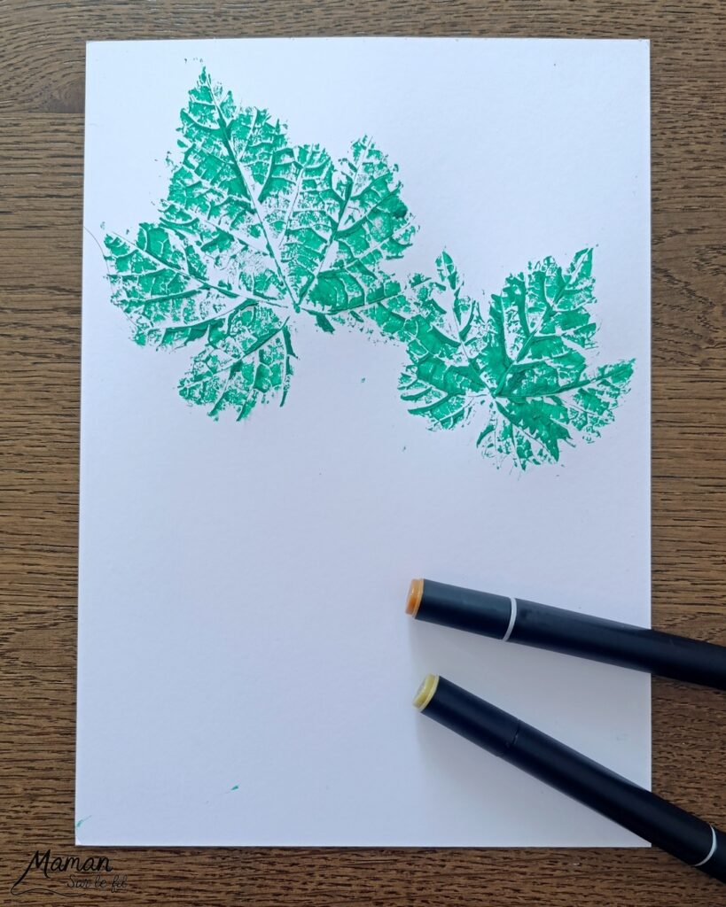 Peindre une grappe de raisin avec des empreintes de feuilles et des pompons : activité créative, peinture et manuelle enfants - Land art, art nature avec empreintes de feuilles de vigne - Dessin - Grains de raisin peints avec un pompon et une pince à linge - Dessin des reflets des grains et graphismes - Bricolage DIY facile et rapide - Thème automne, raisins, fruits et légumes, potager - Décoration DIY - Bricolage et décoration sympa et facile - Arts visuels maternelle et élémentaire - Cycles 1 et 2 - Créativité - tutoriel photos et vidéo - mslf