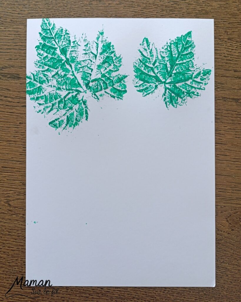 Peindre une grappe de raisin avec des empreintes de feuilles et des pompons : activité créative, peinture et manuelle enfants - Land art, art nature avec empreintes de feuilles de vigne - Dessin - Grains de raisin peints avec un pompon et une pince à linge - Dessin des reflets des grains et graphismes - Bricolage DIY facile et rapide - Thème automne, raisins, fruits et légumes, potager - Décoration DIY - Bricolage et décoration sympa et facile - Arts visuels maternelle et élémentaire - Cycles 1 et 2 - Créativité - tutoriel photos et vidéo - mslf