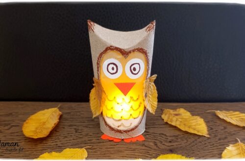 Fabriquer un hibou Lanterne automnal en récup' : activité créative, récup' et manuelle enfants - Recyclage, surcyclage de rouleaux de papier toilette (PQ) en carton - Découpage, dessin, collage - Land art avec feuilles mortes d'automne - Papier calque et bougie chauffe-plat électrique pour le côté lumineux - Couleurs automnales - Bricolage DIY facile et rapide - Thème automne, feuilles, animaux de la forêt, des bois, oiseaux, hiboux et chouettes - Décoration DIY - Bricolage et décoration sympa et facile - Arts visuels maternelle et élémentaire - Cycles 1 et 2 - Créativité - tutoriel photos et vidéo - mslf