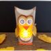 Fabriquer un hibou Lanterne automnal en récup' : activité créative, récup' et manuelle enfants - Recyclage, surcyclage de rouleaux de papier toilette (PQ) en carton - Découpage, dessin, collage - Land art avec feuilles mortes d'automne - Papier calque et bougie chauffe-plat électrique pour le côté lumineux - Couleurs automnales - Bricolage DIY facile et rapide - Thème automne, feuilles, animaux de la forêt, des bois, oiseaux, hiboux et chouettes - Décoration DIY - Bricolage et décoration sympa et facile - Arts visuels maternelle et élémentaire - Cycles 1 et 2 - Créativité - tutoriel photos et vidéo - mslf