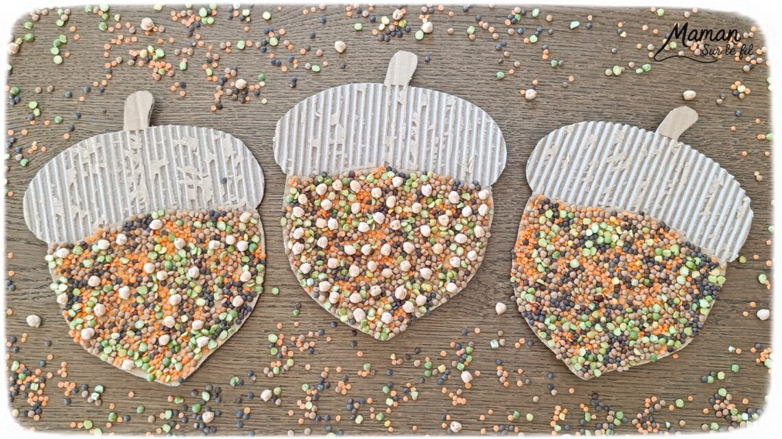 Fabriquer des glands en carton et en légumes secs : activité créative, récup' et manuelle enfants - Recyclage, surcyclage de carton ondulé et déchiré - Collage de légumes secs comme des lentilles (blondes, brunes, corail), des pois cassés, des pois chiche... - Couleurs automnales - Land art d'automne - Bricolage DIY facile et rapide - Thème automne, forêt, bois, chênes, légumes secs, graines, glands, aliments d'automne - Décoration DIY - Bricolage et décoration sympa et facile - Arts visuels maternelle et élémentaire - Cycles 1 et 2 - Créativité - tutoriel photos - mslf
