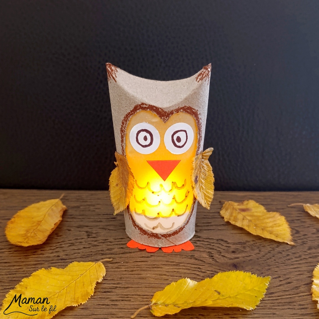 Fabriquer un hibou Lanterne automnal en récup' : activité créative, récup' et manuelle enfants - Recyclage, surcyclage de rouleaux de papier toilette (PQ) en carton - Découpage, dessin, collage - Land art avec feuilles mortes d'automne - Papier calque et bougie chauffe-plat électrique pour le côté lumineux - Couleurs automnales - Bricolage DIY facile et rapide - Thème automne, feuilles, animaux de la forêt, des bois, oiseaux, hiboux et chouettes - Décoration DIY - Bricolage et décoration sympa et facile - Arts visuels maternelle et élémentaire - Cycles 1 et 2 - Créativité - tutoriel photos et vidéo - mslf