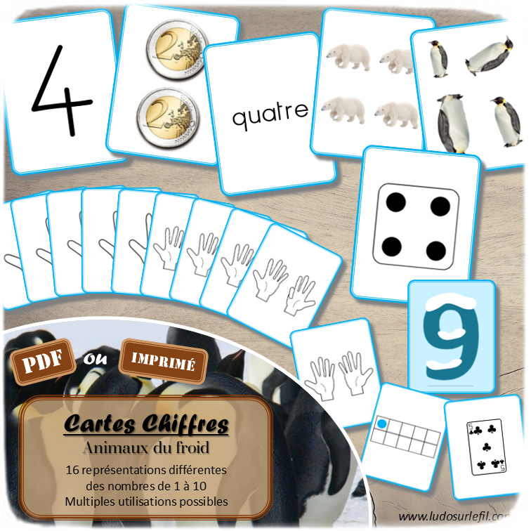 Cartes Chiffres - Thème Animaux du froid et de la banquise - Jeu d'association différentes représentations des nombres de 1 à 10 - 16 représentations différentes pour travailler différentes compétences - Chiffres, écrit en lettres (cursif, script et majuscule), quantité objets, constellations dé, doigts main, cartes à jouer, jetons dans boite, anglais, pièces, ... - File numérique de 1 à 10 - Comparaison de quantité - Mémo ou affichage classe - jeu de memory ou bataille - Atelier autonome et autocorrectif maternelle et cycle 2 (CP) - IEF - PDF à télécharger et imprimer ou jeu imprimé - version cartes facile à découper - Mathématiques - Hiver, Pôles arctique et antarctique - lslf