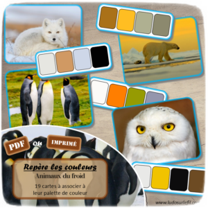 Jeu Repère les couleurs - Animaux de la banquise et du froid - photos / cartes à associer aux palettes de 4 couleurs - à télécharger et à imprimer - atelier autocorrectif maternelle ou cycle 2 - observation, déduction, logique, discrimination visuelle, vocabulaire et lexique - Thème hiver, animaux du froid, banquise, montagne, pôles - lslf