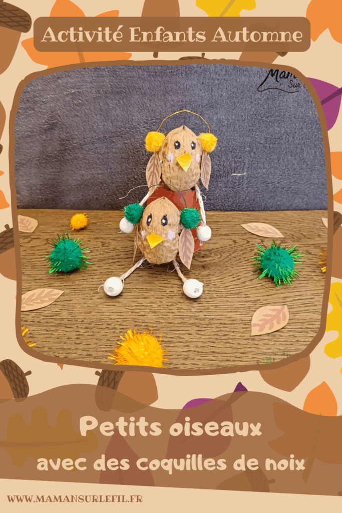 Fabriquer des petits oiseaux d'automne avec des coquilles de noix : activité créative, nature et manuelle enfants - Oiseaux d'automne ou d'hiver avec leur cache-oreilles - Bricolage mignon avec coquilles de noix, pompons, fil de fer, perles, cordelettes, papier - Land art - Couleurs automnales - Bricolage DIY facile et rapide - Thème automne, animaux de la forêt, des bois, oiseaux, nature, hiver - Décoration DIY - Bricolage et décoration sympa et facile - Arts visuels maternelle et élémentaire - Cycles 1 et 2 - Créativité - tutoriel photos - mslf