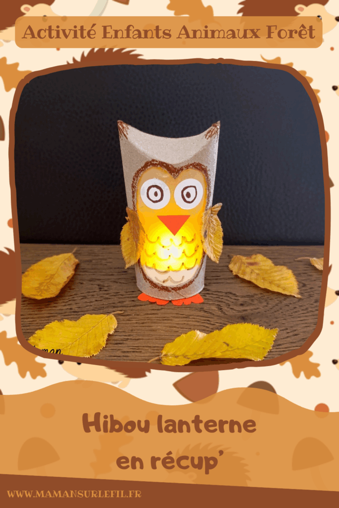 Fabriquer un hibou Lanterne automnal en récup' : activité créative, récup' et manuelle enfants - Recyclage, surcyclage de rouleaux de papier toilette (PQ) en carton - Découpage, dessin, collage - Land art avec feuilles mortes d'automne - Papier calque et bougie chauffe-plat électrique pour le côté lumineux - Couleurs automnales - Bricolage DIY facile et rapide - Thème automne, feuilles, animaux de la forêt, des bois, oiseaux, hiboux et chouettes - Décoration DIY - Bricolage et décoration sympa et facile - Arts visuels maternelle et élémentaire - Cycles 1 et 2 - Créativité - tutoriel photos et vidéo - mslf