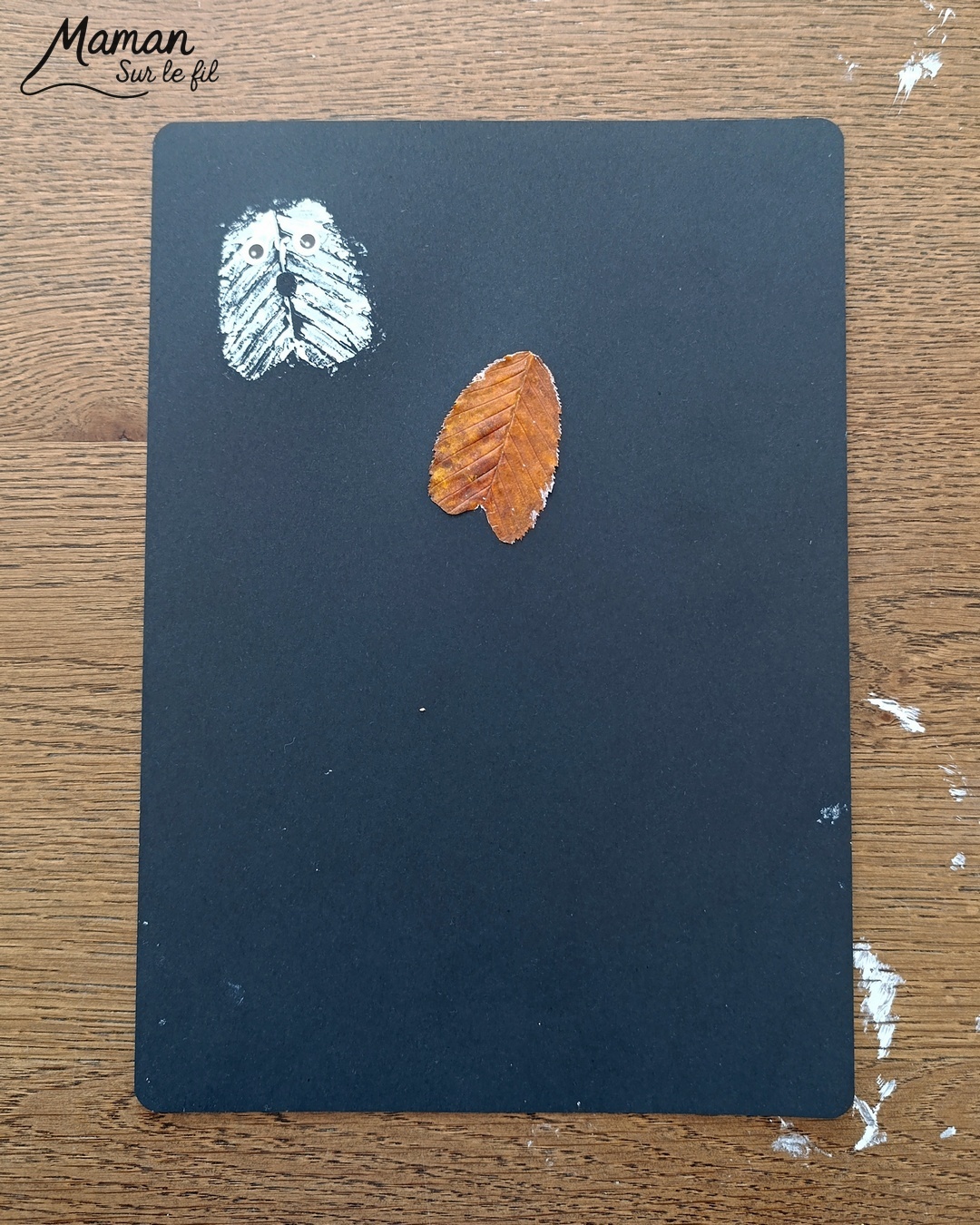 Peindre des fantômes en empreintes de feuilles : activité créative, peinture et manuelle enfants - Utilisation des feuilles mortes d'automne - Les peindre avec de la gouache en stick et utiliser les empreintes - Land art et nature - Gommettes Yeux et dessin - Bricolage et décoration DIY et facile - Bricolage Fait maison, décoration - Thème Halloween, nuit, peur, fantômes - Bricolage sympa et facile - Arts visuels Maternelle et cycle 2 - Maternelle et élémentaire - Créativité - Cycle 1 ou 2 - tutoriel photos et vidéo - mslf