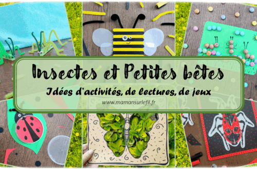 Récapitulatif Insectes et autres petites bêtes - idées activités lectures jeux sur un thème donné - différentes catégories - Insectes, petites bêtes des forêts, des campagnes et des jardins, printemps, abeilles, coccinelles, vers de terre, papillons et chenilles, escargots... - arts visuels - littérature jeunesse - jeux de société - jeux à imprimer - récap sur le fil - mslf