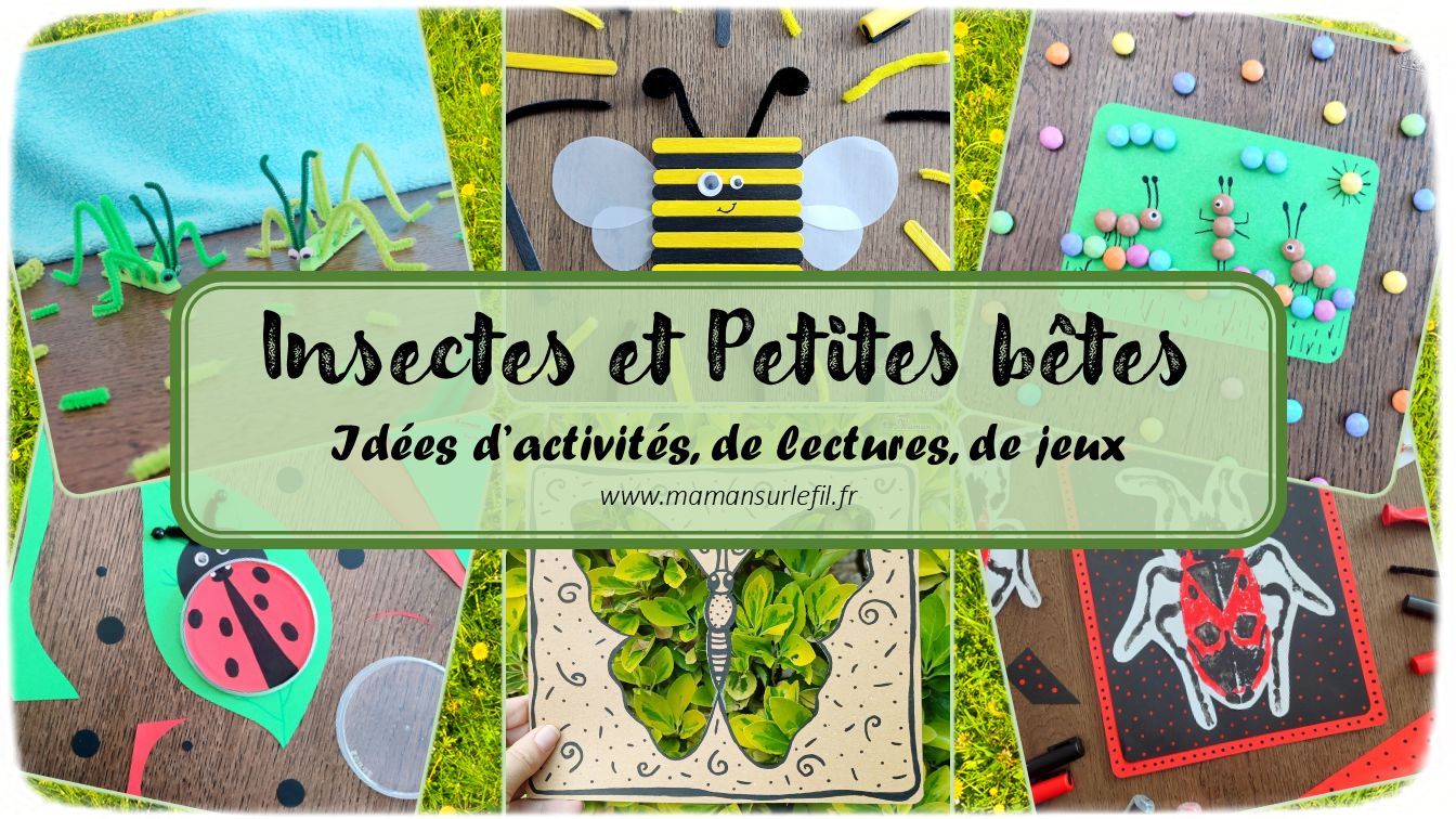 Récapitulatif Insectes et autres petites bêtes - idées activités lectures jeux sur un thème donné - différentes catégories - Insectes, petites bêtes des forêts, des campagnes et des jardins, printemps, abeilles, coccinelles, vers de terre, papillons et chenilles, escargots... - arts visuels - littérature jeunesse - jeux de société - jeux à imprimer - récap sur le fil - mslf