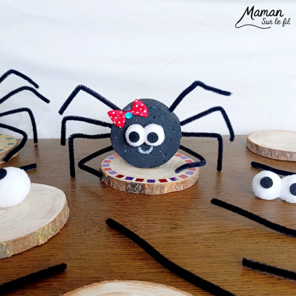 Bricolage Araignee Maternelle