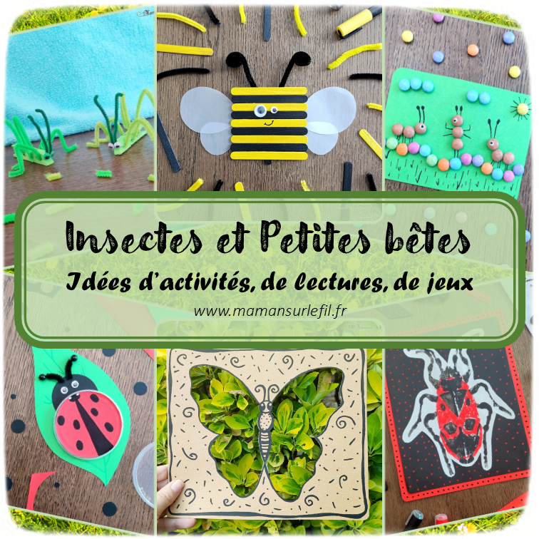 Récapitulatif Insectes et autres petites bêtes - idées activités lectures jeux sur un thème donné - différentes catégories - Insectes, petites bêtes des forêts, des campagnes et des jardins, printemps, abeilles, coccinelles, vers de terre, papillons et chenilles, escargots... - arts visuels - littérature jeunesse - jeux de société - jeux à imprimer - récap sur le fil - mslf