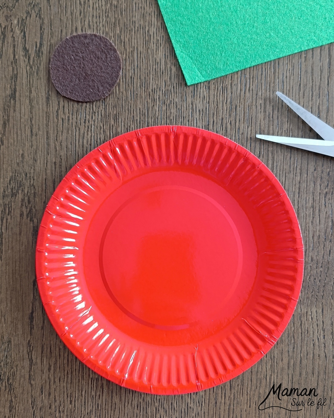 Fabriquer une pomme rouge avec son ver à lacer : activité créative, récup' et manuelle enfants - Pomme avec une assiette en carton et de la feutrine - Découpage des trous au cutter - Ver en feutrine et laine - Lacer le fil ne passer le ver dans les trous - Travail de la motricité fine et de la coordination Oeil - main - Jeu DIY - Bricolage et décoration DIY et facile - Bricolage Fait maison, décoration - Thème pommes, fruits et légumes, potager, verger, automne, insectes et petites bêtes, printemps - Bricolage sympa et facile - Arts visuels Maternelle et cycle 2 - Maternelle et élémentaire - Créativité - Cycle 1 ou 2 - tutoriel photos et vidéo - mslf