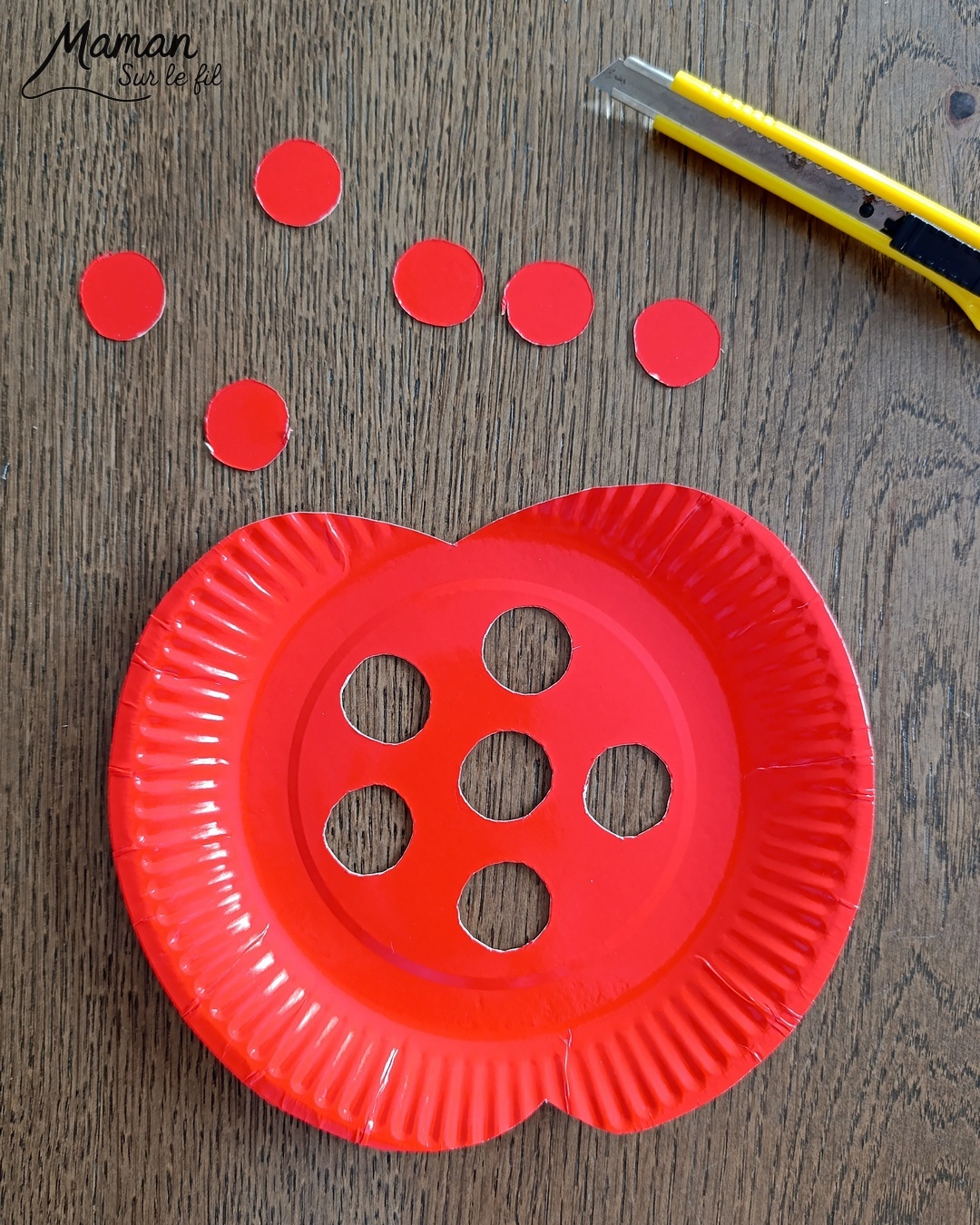 Fabriquer une pomme rouge avec son ver à lacer : activité créative, récup' et manuelle enfants - Pomme avec une assiette en carton et de la feutrine - Découpage des trous au cutter - Ver en feutrine et laine - Lacer le fil ne passer le ver dans les trous - Travail de la motricité fine et de la coordination Oeil - main - Jeu DIY - Bricolage et décoration DIY et facile - Bricolage Fait maison, décoration - Thème pommes, fruits et légumes, potager, verger, automne, insectes et petites bêtes, printemps - Bricolage sympa et facile - Arts visuels Maternelle et cycle 2 - Maternelle et élémentaire - Créativité - Cycle 1 ou 2 - tutoriel photos et vidéo - mslf