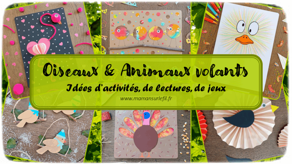 Récapitulatif Oiseaux et Animaux volants : hiboux, poules, manchots, paons, autruches, chauve-souris, oeufs... - idées activités lectures jeux sur un thème donné - différents types d'activités : sensorielle, créative, récup, peinture... - jeux à imprimer - Graphisme - Bricolages, peinture, dessin DIY - arts visuels et bricolages - littérature jeunesse - jeux de société - récap sur le fil - mslf