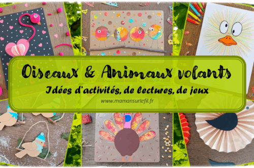 Récapitulatif Oiseaux et Animaux volants : hiboux, poules, manchots, paons, autruches, chauve-souris, oeufs... - idées activités lectures jeux sur un thème donné - différents types d'activités : sensorielle, créative, récup, peinture... - jeux à imprimer - Graphisme - Bricolages, peinture, dessin DIY - arts visuels et bricolages - littérature jeunesse - jeux de société - récap sur le fil - mslf