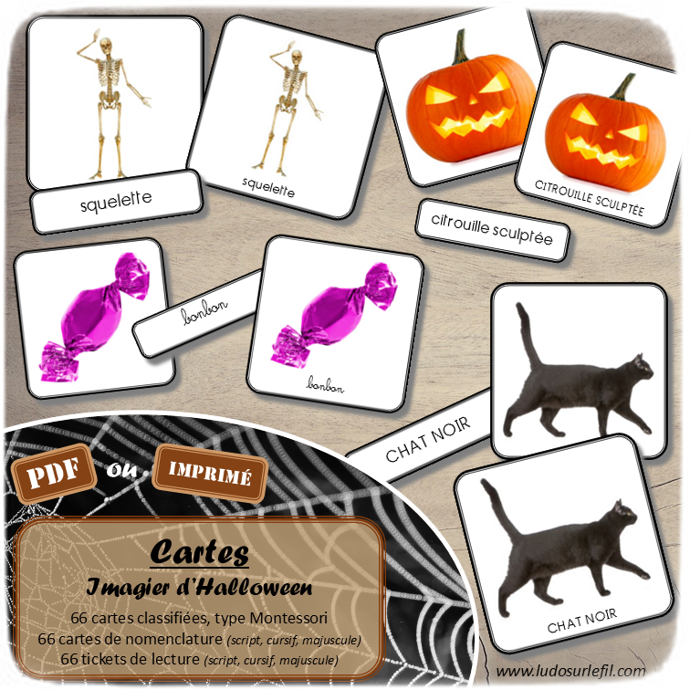 Jeu de cartes type Montessori (classifiées et de nomenclature) - Imagier d'Halloween - Personnages, décoration, animaux, sorcière, mort, peur - Photos sur fond blanc - Autocorrection au dos (noms pour lecteurs, symboles pour non lecteur) - 3 graphies disponibles - Script, majuscule, cursif - Document PDF à télécharger et imprimer ou jeu imprimé - 66 cartes - Tickets de lecture - atelier autocorrectif maternelle élémentaire - Cycle 1 ou 2 - discrimination visuelle, observation, culture générale, lecture de mots, langage oral, lexique - automne - lslf