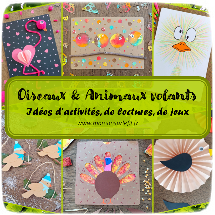 Récapitulatif Oiseaux et Animaux volants : hiboux, poules, manchots, paons, autruches, chauve-souris, oeufs... - idées activités lectures jeux sur un thème donné - différents types d'activités : sensorielle, créative, récup, peinture... - jeux à imprimer - Graphisme - Bricolages, peinture, dessin DIY - arts visuels et bricolages - littérature jeunesse - jeux de société - récap sur le fil - mslf
