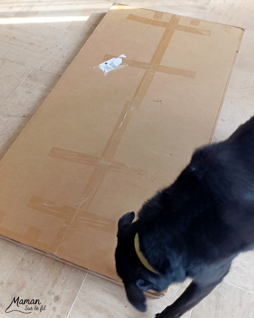 Mon nouveau coin bureau avec Flexispot : mon quotidien d'autoentrepreneur - Bureau assis debout ultra flexible E7 Pro avec pieds noirs et plateau Rotin brun pour associer à ma table à manger - Chaise ergonomique avec coussin confort Nuage - Bureau parfait pour alterner travail sur ordinateur et activités créatives - Parfait pour les personnes de petites et grandes tailles et pour les maux de dos - Etre à son compte, télétravail - Avis - mslf