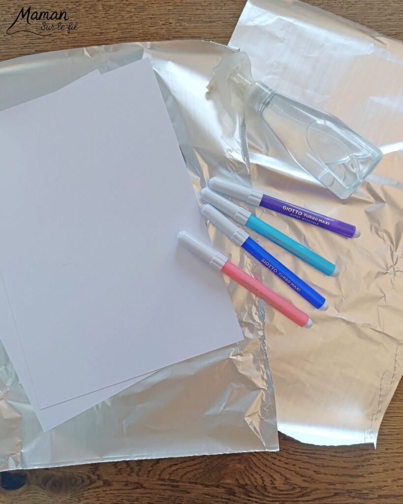 Créer des petits oiseaux d'hiver et leurs cadeaux avec la technique des feutres et du papier aluminium : activité créative, peinture et manuelle enfants - Oiseaux hivernaux avec cercles de papier - Couleurs avec feutres sur aluminium et eau - Technique au rendu joli - Cercles, géométrie, découpage, collage - Perforatrice - Land art avec collage d'une branche - Petits bonnets et cadeaux pour décorer - Flocons de maïs -Dessin - Couleurs hivernales - Bricolage DIY facile et rapide - Thème hiver, Noël, oiseaux, animaux de la forêt, des bois, du froid, nature - Décoration DIY - Bricolage et décoration sympa et facile - Arts visuels maternelle et élémentaire - Cycles 1 et 2 - Créativité - tutoriel photos - mslf