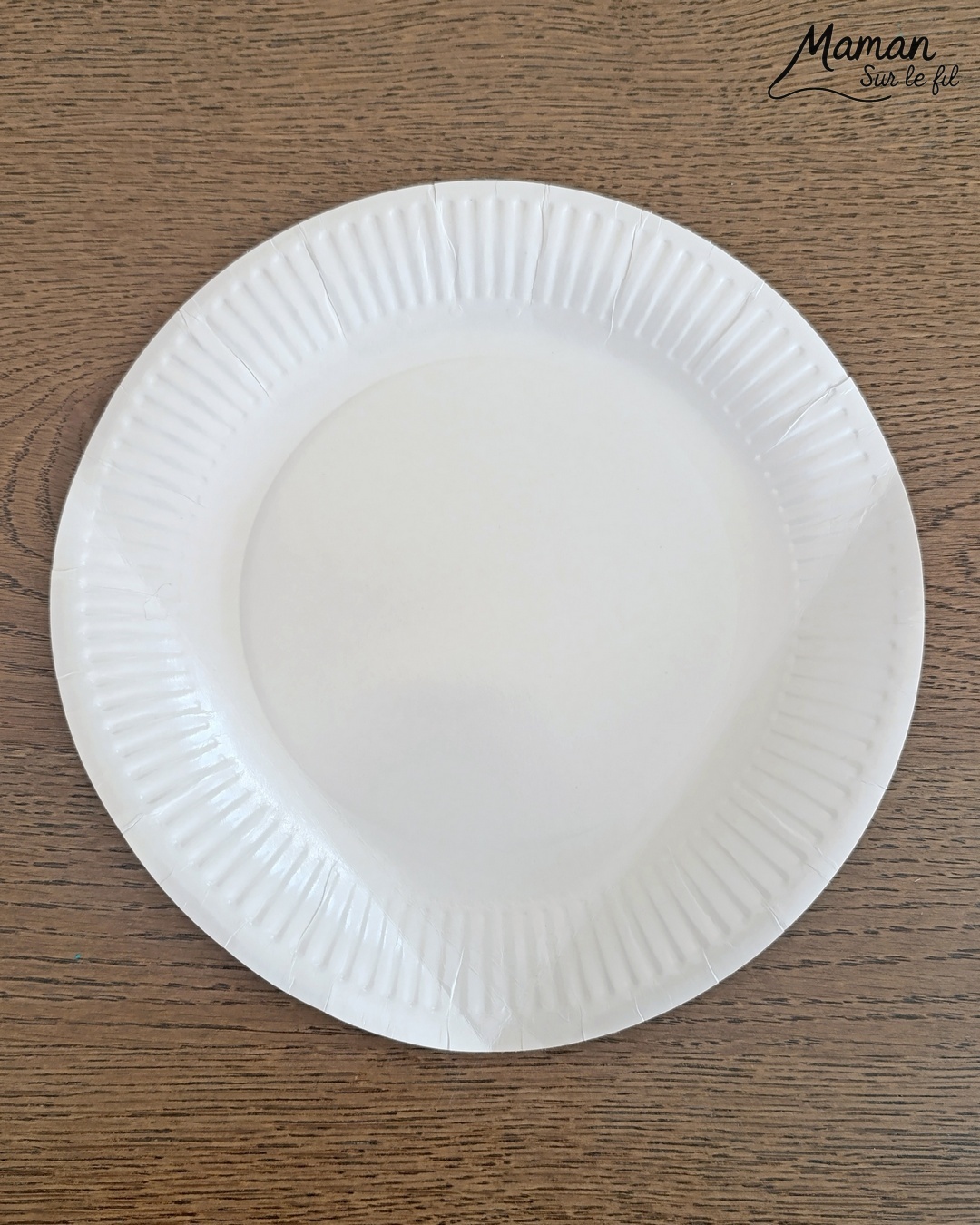 Fabriquer un loup avec une assiette en carton et présentation des magazines Salamandre : activité créative, récup' et manuelle et lecture enfants - Recyclage, surcyclage d'une assiette en carton - Peinture et bricolage simple - Découpage et collage de papier - Magazines Salamandre parfaits pour les petits amoureux de la nature et des animaux - 3 version pour tout âge - Complet et qualitatif - Reportages, belles photos, BD, jeux, activités manuelles... - Bricolage et décoration DIY et facile - Bricolage Fait maison, décoration - Thème hiver, animaux de la montage, de la forêt, nature - Bricolage sympa et facile - Arts visuels Maternelle et cycle 2 - Maternelle et élémentaire - Créativité et lecture jeunesse - Cycle 1 ou 2 - tutoriel photos - mslf