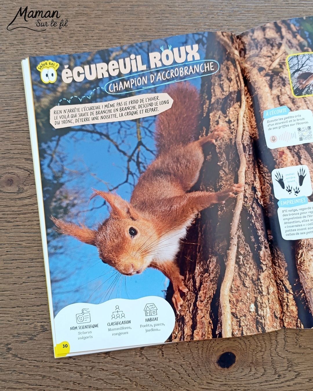 Fabriquer un loup avec une assiette en carton et présentation des magazines Salamandre : activité créative, récup' et manuelle et lecture enfants - Recyclage, surcyclage d'une assiette en carton - Peinture et bricolage simple - Découpage et collage de papier - Magazines Salamandre parfaits pour les petits amoureux de la nature et des animaux - 3 version pour tout âge - Complet et qualitatif - Reportages, belles photos, BD, jeux, activités manuelles... - Bricolage et décoration DIY et facile - Bricolage Fait maison, décoration - Thème hiver, animaux de la montage, de la forêt, nature - Bricolage sympa et facile - Arts visuels Maternelle et cycle 2 - Maternelle et élémentaire - Créativité et lecture jeunesse - Cycle 1 ou 2 - tutoriel photos - mslf