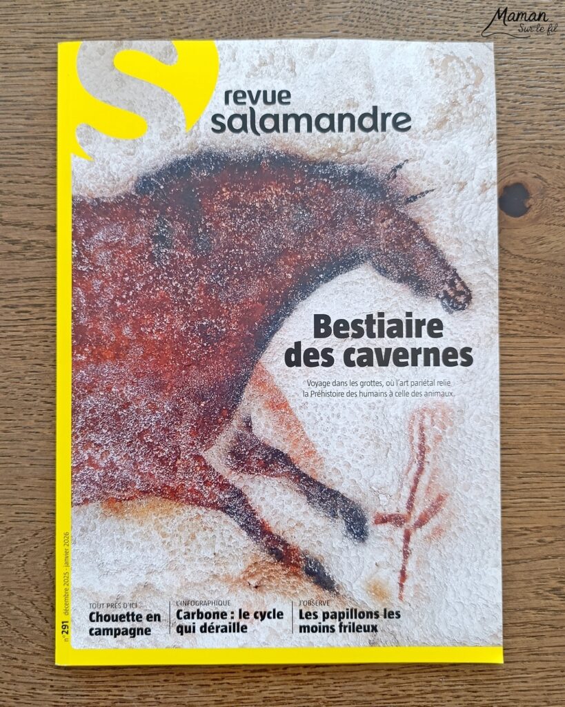 Fabriquer un loup avec une assiette en carton et présentation des magazines Salamandre : activité créative, récup' et manuelle et lecture enfants - Recyclage, surcyclage d'une assiette en carton - Peinture et bricolage simple - Découpage et collage de papier - Magazines Salamandre parfaits pour les petits amoureux de la nature et des animaux - 3 version pour tout âge - Complet et qualitatif - Reportages, belles photos, BD, jeux, activités manuelles... - Bricolage et décoration DIY et facile - Bricolage Fait maison, décoration - Thème hiver, animaux de la montage, de la forêt, nature - Bricolage sympa et facile - Arts visuels Maternelle et cycle 2 - Maternelle et élémentaire - Créativité et lecture jeunesse - Cycle 1 ou 2 - tutoriel photos - mslf
