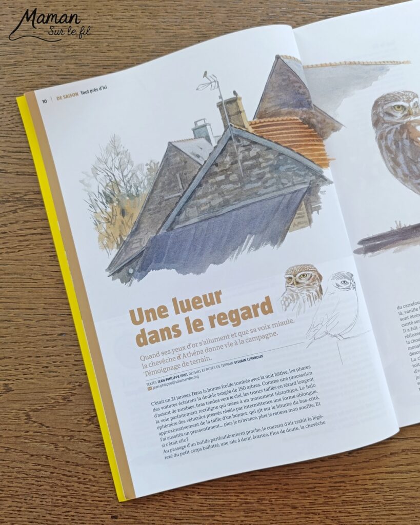 Fabriquer un loup avec une assiette en carton et présentation des magazines Salamandre : activité créative, récup' et manuelle et lecture enfants - Recyclage, surcyclage d'une assiette en carton - Peinture et bricolage simple - Découpage et collage de papier - Magazines Salamandre parfaits pour les petits amoureux de la nature et des animaux - 3 version pour tout âge - Complet et qualitatif - Reportages, belles photos, BD, jeux, activités manuelles... - Bricolage et décoration DIY et facile - Bricolage Fait maison, décoration - Thème hiver, animaux de la montage, de la forêt, nature - Bricolage sympa et facile - Arts visuels Maternelle et cycle 2 - Maternelle et élémentaire - Créativité et lecture jeunesse - Cycle 1 ou 2 - tutoriel photos - mslf