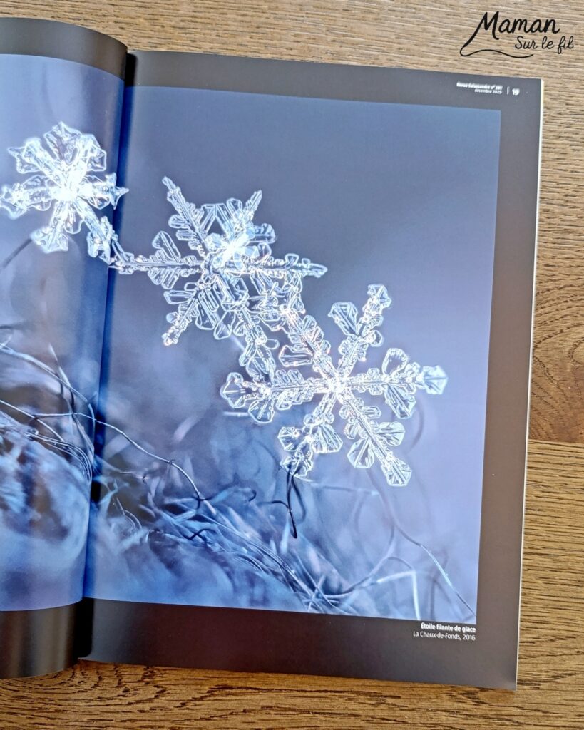 Fabriquer un loup avec une assiette en carton et présentation des magazines Salamandre : activité créative, récup' et manuelle et lecture enfants - Recyclage, surcyclage d'une assiette en carton - Peinture et bricolage simple - Découpage et collage de papier - Magazines Salamandre parfaits pour les petits amoureux de la nature et des animaux - 3 version pour tout âge - Complet et qualitatif - Reportages, belles photos, BD, jeux, activités manuelles... - Bricolage et décoration DIY et facile - Bricolage Fait maison, décoration - Thème hiver, animaux de la montage, de la forêt, nature - Bricolage sympa et facile - Arts visuels Maternelle et cycle 2 - Maternelle et élémentaire - Créativité et lecture jeunesse - Cycle 1 ou 2 - tutoriel photos - mslf