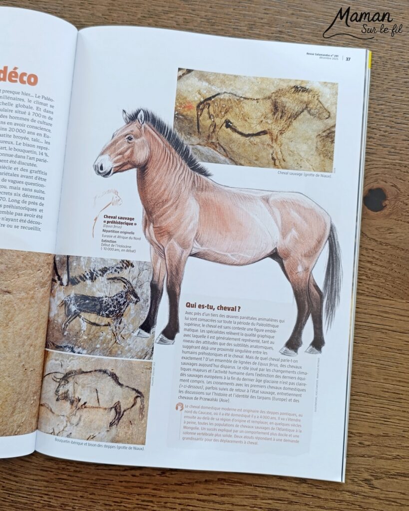 Fabriquer un loup avec une assiette en carton et présentation des magazines Salamandre : activité créative, récup' et manuelle et lecture enfants - Recyclage, surcyclage d'une assiette en carton - Peinture et bricolage simple - Découpage et collage de papier - Magazines Salamandre parfaits pour les petits amoureux de la nature et des animaux - 3 version pour tout âge - Complet et qualitatif - Reportages, belles photos, BD, jeux, activités manuelles... - Bricolage et décoration DIY et facile - Bricolage Fait maison, décoration - Thème hiver, animaux de la montage, de la forêt, nature - Bricolage sympa et facile - Arts visuels Maternelle et cycle 2 - Maternelle et élémentaire - Créativité et lecture jeunesse - Cycle 1 ou 2 - tutoriel photos - mslf