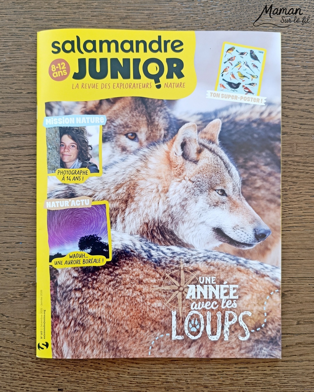 Fabriquer un loup avec une assiette en carton et présentation des magazines Salamandre : activité créative, récup' et manuelle et lecture enfants - Recyclage, surcyclage d'une assiette en carton - Peinture et bricolage simple - Découpage et collage de papier - Magazines Salamandre parfaits pour les petits amoureux de la nature et des animaux - 3 version pour tout âge - Complet et qualitatif - Reportages, belles photos, BD, jeux, activités manuelles... - Bricolage et décoration DIY et facile - Bricolage Fait maison, décoration - Thème hiver, animaux de la montage, de la forêt, nature - Bricolage sympa et facile - Arts visuels Maternelle et cycle 2 - Maternelle et élémentaire - Créativité et lecture jeunesse - Cycle 1 ou 2 - tutoriel photos - mslf