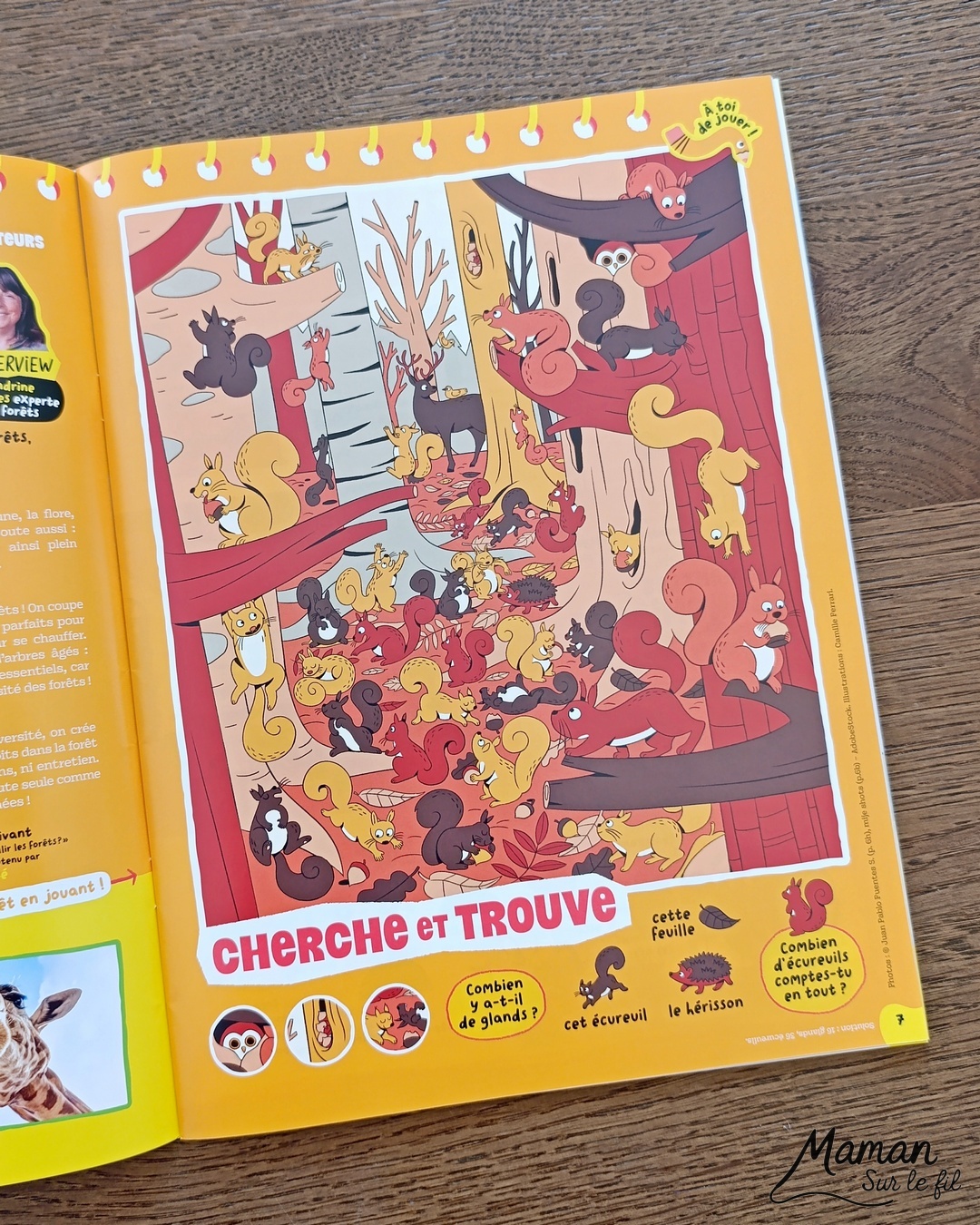 Fabriquer un loup avec une assiette en carton et présentation des magazines Salamandre : activité créative, récup' et manuelle et lecture enfants - Recyclage, surcyclage d'une assiette en carton - Peinture et bricolage simple - Découpage et collage de papier - Magazines Salamandre parfaits pour les petits amoureux de la nature et des animaux - 3 version pour tout âge - Complet et qualitatif - Reportages, belles photos, BD, jeux, activités manuelles... - Bricolage et décoration DIY et facile - Bricolage Fait maison, décoration - Thème hiver, animaux de la montage, de la forêt, nature - Bricolage sympa et facile - Arts visuels Maternelle et cycle 2 - Maternelle et élémentaire - Créativité et lecture jeunesse - Cycle 1 ou 2 - tutoriel photos - mslf