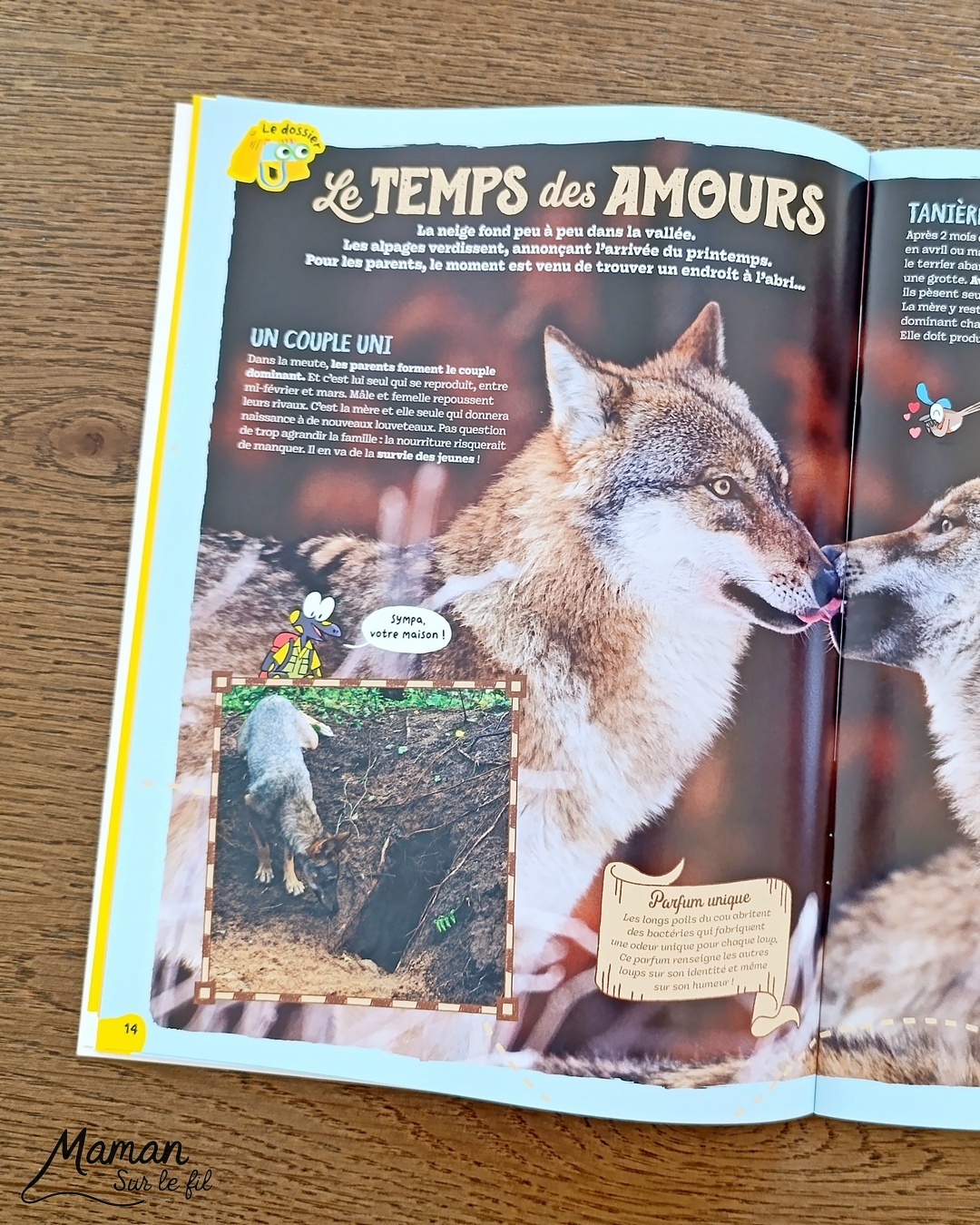 Fabriquer un loup avec une assiette en carton et présentation des magazines Salamandre : activité créative, récup' et manuelle et lecture enfants - Recyclage, surcyclage d'une assiette en carton - Peinture et bricolage simple - Découpage et collage de papier - Magazines Salamandre parfaits pour les petits amoureux de la nature et des animaux - 3 version pour tout âge - Complet et qualitatif - Reportages, belles photos, BD, jeux, activités manuelles... - Bricolage et décoration DIY et facile - Bricolage Fait maison, décoration - Thème hiver, animaux de la montage, de la forêt, nature - Bricolage sympa et facile - Arts visuels Maternelle et cycle 2 - Maternelle et élémentaire - Créativité et lecture jeunesse - Cycle 1 ou 2 - tutoriel photos - mslf