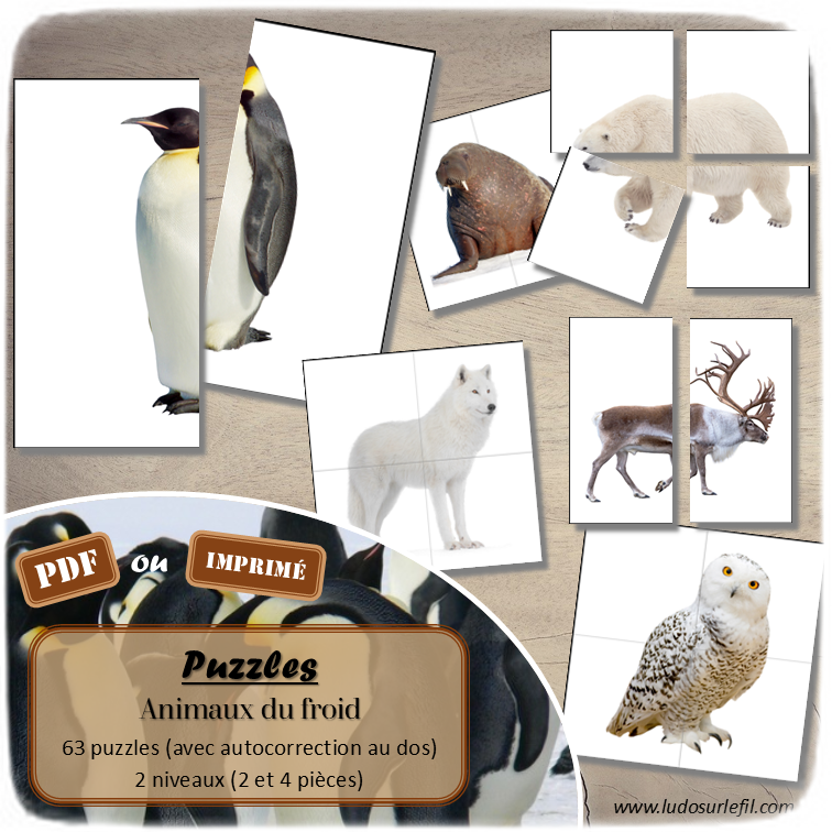 Jeu de puzzles - Animaux du froid - 2 et 4 pièces - Demi photos - 63 photos sur fond blanc à reconstituer - Jeu et atelier autocorrectif association - observation - discrimination visuelle - PDF à télécharger et à imprimer ou jeu imprimé - Autocorrection - Atelier maternelle Cycle 2 - Vocabulaire - Hiver, banquise, pôles, manchots, oiseaux, animaux marins, phoques, mammifères... - lslf