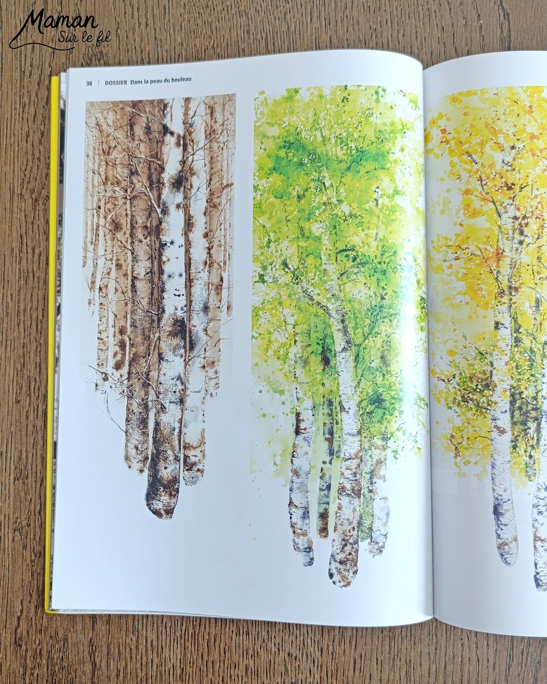 Créer un bouleau d'amour et présentation du nouveau magazine Revue Salamandre : activité créative, collage, peinture et manuelle et lecture enfants - Peindre le tronc du bouleau avec une bande de carton - Arbre d'amour avec coeurs perforés et collés - Perforatrice et collage - Bricolage simple avec papier plein d'amour - Magazine Revue Salamandre parfait pour les ados et adultes amoureux de la nature et des animaux - 13 ans et plus - Collège, Lycée - 3 version pour tout âge - Complet et qualitatif - Reportages, belles photos, BD, jeux, activités manuelles... - Bricolage et décoration DIY et facile - Bricolage Fait maison, décoration - Thème Saint Valentin, amour, amitié, forêt, arbres, nature - Bricolage sympa et facile - Arts visuels Maternelle et cycle 2 - Maternelle et élémentaire - Créativité et lecture jeunesse - Cycle 1 ou 2 - tutoriel photos - mslf