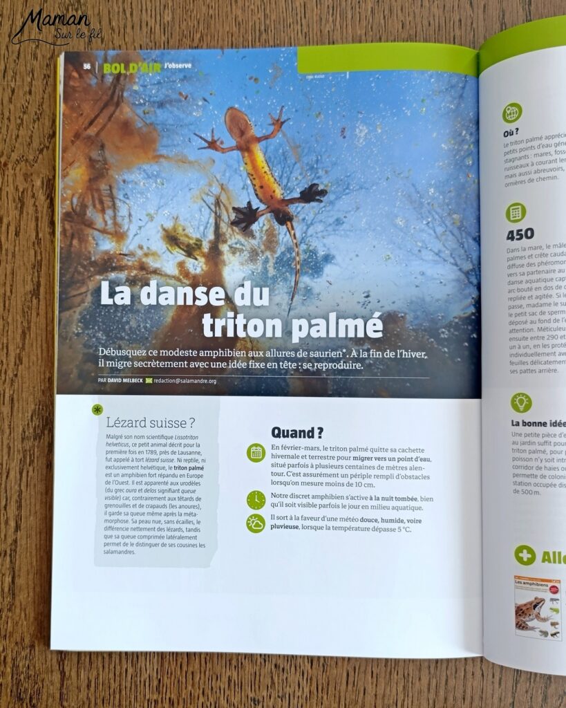 Créer un bouleau d'amour et présentation du nouveau magazine Revue Salamandre : activité créative, collage, peinture et manuelle et lecture enfants - Peindre le tronc du bouleau avec une bande de carton - Arbre d'amour avec coeurs perforés et collés - Perforatrice et collage - Bricolage simple avec papier plein d'amour - Magazine Revue Salamandre parfait pour les ados et adultes amoureux de la nature et des animaux - 13 ans et plus - Collège, Lycée - 3 version pour tout âge - Complet et qualitatif - Reportages, belles photos, BD, jeux, activités manuelles... - Bricolage et décoration DIY et facile - Bricolage Fait maison, décoration - Thème Saint Valentin, amour, amitié, forêt, arbres, nature - Bricolage sympa et facile - Arts visuels Maternelle et cycle 2 - Maternelle et élémentaire - Créativité et lecture jeunesse - Cycle 1 ou 2 - tutoriel photos - mslf