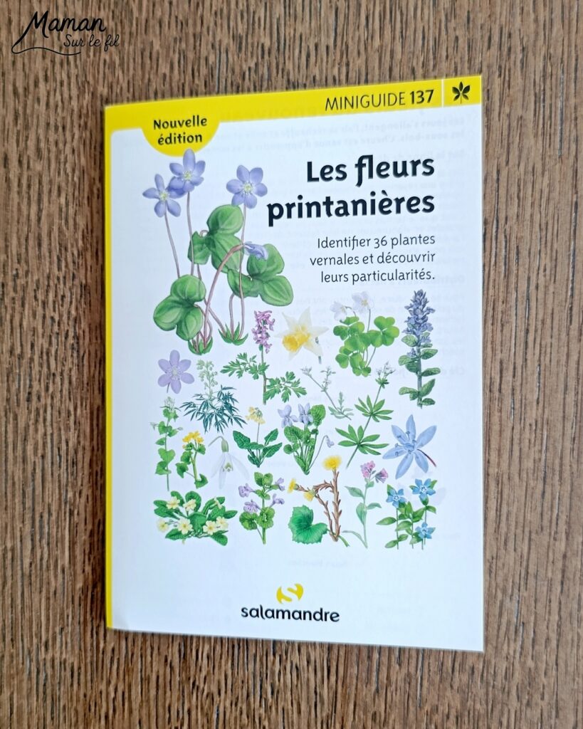 Créer un bouleau d'amour et présentation du nouveau magazine Revue Salamandre : activité créative, collage, peinture et manuelle et lecture enfants - Peindre le tronc du bouleau avec une bande de carton - Arbre d'amour avec coeurs perforés et collés - Perforatrice et collage - Bricolage simple avec papier plein d'amour - Magazine Revue Salamandre parfait pour les ados et adultes amoureux de la nature et des animaux - 13 ans et plus - Collège, Lycée - 3 version pour tout âge - Complet et qualitatif - Reportages, belles photos, BD, jeux, activités manuelles... - Bricolage et décoration DIY et facile - Bricolage Fait maison, décoration - Thème Saint Valentin, amour, amitié, forêt, arbres, nature - Bricolage sympa et facile - Arts visuels Maternelle et cycle 2 - Maternelle et élémentaire - Créativité et lecture jeunesse - Cycle 1 ou 2 - tutoriel photos - mslf