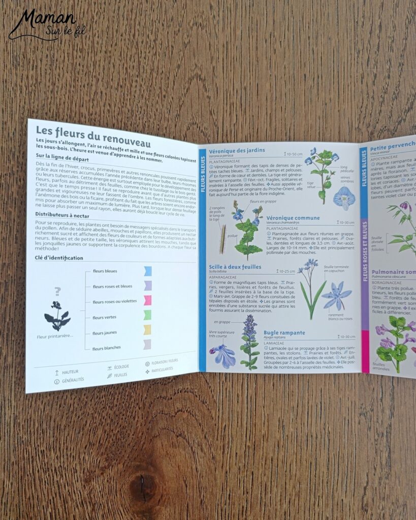Créer un bouleau d'amour et présentation du nouveau magazine Revue Salamandre : activité créative, collage, peinture et manuelle et lecture enfants - Peindre le tronc du bouleau avec une bande de carton - Arbre d'amour avec coeurs perforés et collés - Perforatrice et collage - Bricolage simple avec papier plein d'amour - Magazine Revue Salamandre parfait pour les ados et adultes amoureux de la nature et des animaux - 13 ans et plus - Collège, Lycée - 3 version pour tout âge - Complet et qualitatif - Reportages, belles photos, BD, jeux, activités manuelles... - Bricolage et décoration DIY et facile - Bricolage Fait maison, décoration - Thème Saint Valentin, amour, amitié, forêt, arbres, nature - Bricolage sympa et facile - Arts visuels Maternelle et cycle 2 - Maternelle et élémentaire - Créativité et lecture jeunesse - Cycle 1 ou 2 - tutoriel photos - mslf