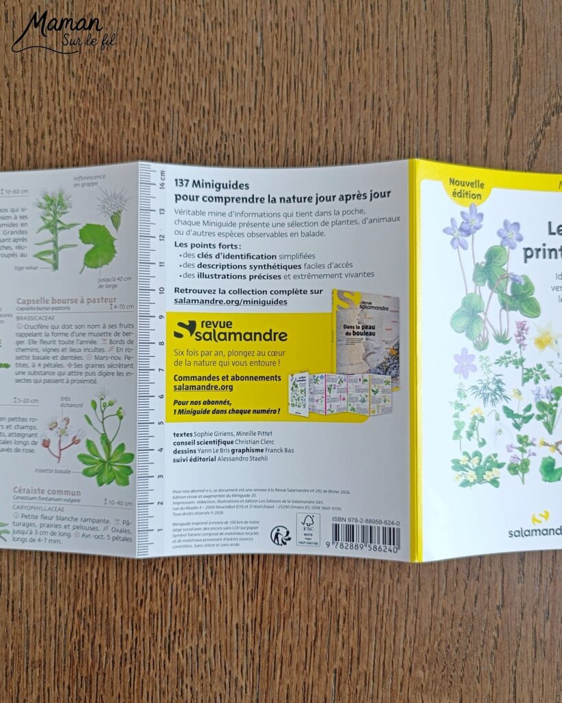 Créer un bouleau d'amour et présentation du nouveau magazine Revue Salamandre : activité créative, collage, peinture et manuelle et lecture enfants - Peindre le tronc du bouleau avec une bande de carton - Arbre d'amour avec coeurs perforés et collés - Perforatrice et collage - Bricolage simple avec papier plein d'amour - Magazine Revue Salamandre parfait pour les ados et adultes amoureux de la nature et des animaux - 13 ans et plus - Collège, Lycée - 3 version pour tout âge - Complet et qualitatif - Reportages, belles photos, BD, jeux, activités manuelles... - Bricolage et décoration DIY et facile - Bricolage Fait maison, décoration - Thème Saint Valentin, amour, amitié, forêt, arbres, nature - Bricolage sympa et facile - Arts visuels Maternelle et cycle 2 - Maternelle et élémentaire - Créativité et lecture jeunesse - Cycle 1 ou 2 - tutoriel photos - mslf