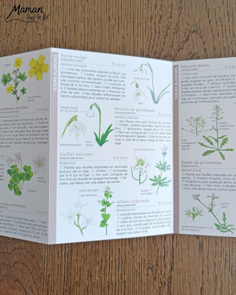 Créer un bouleau d'amour et présentation du nouveau magazine Revue Salamandre : activité créative, collage, peinture et manuelle et lecture enfants - Peindre le tronc du bouleau avec une bande de carton - Arbre d'amour avec coeurs perforés et collés - Perforatrice et collage - Bricolage simple avec papier plein d'amour - Magazine Revue Salamandre parfait pour les ados et adultes amoureux de la nature et des animaux - 13 ans et plus - Collège, Lycée - 3 version pour tout âge - Complet et qualitatif - Reportages, belles photos, BD, jeux, activités manuelles... - Bricolage et décoration DIY et facile - Bricolage Fait maison, décoration - Thème Saint Valentin, amour, amitié, forêt, arbres, nature - Bricolage sympa et facile - Arts visuels Maternelle et cycle 2 - Maternelle et élémentaire - Créativité et lecture jeunesse - Cycle 1 ou 2 - tutoriel photos - mslf